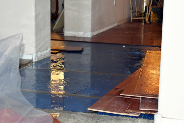 Professional Water Damage technician working in Lowman, ID